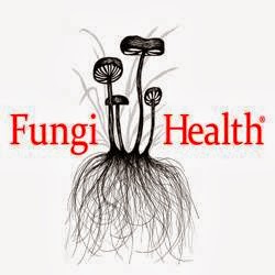 Fungi Health | 32208 Williams Ave, Mission, BC V2V 4K7, Canada