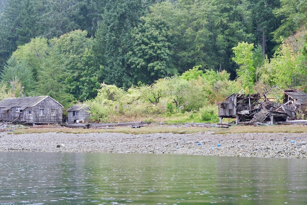 Footprint Nature Explorations | 6429 Sutherland Ave, Powell River, BC V8A 4W5, Canada | Phone: (604) 414-6884