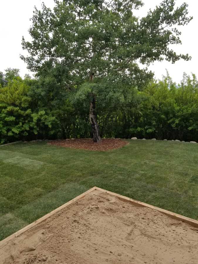 Calgary Sod Masters | 290 Lake Rosen Crescent SE, Calgary, AB T2J 3M1, Canada | Phone: (403) 477-4347