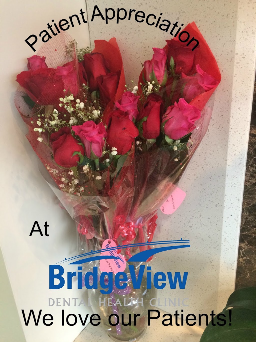 Bridgeview Dental | 32243 Hurd St #2, Mission, BC V2V 3J9, Canada | Phone: (604) 826-6100