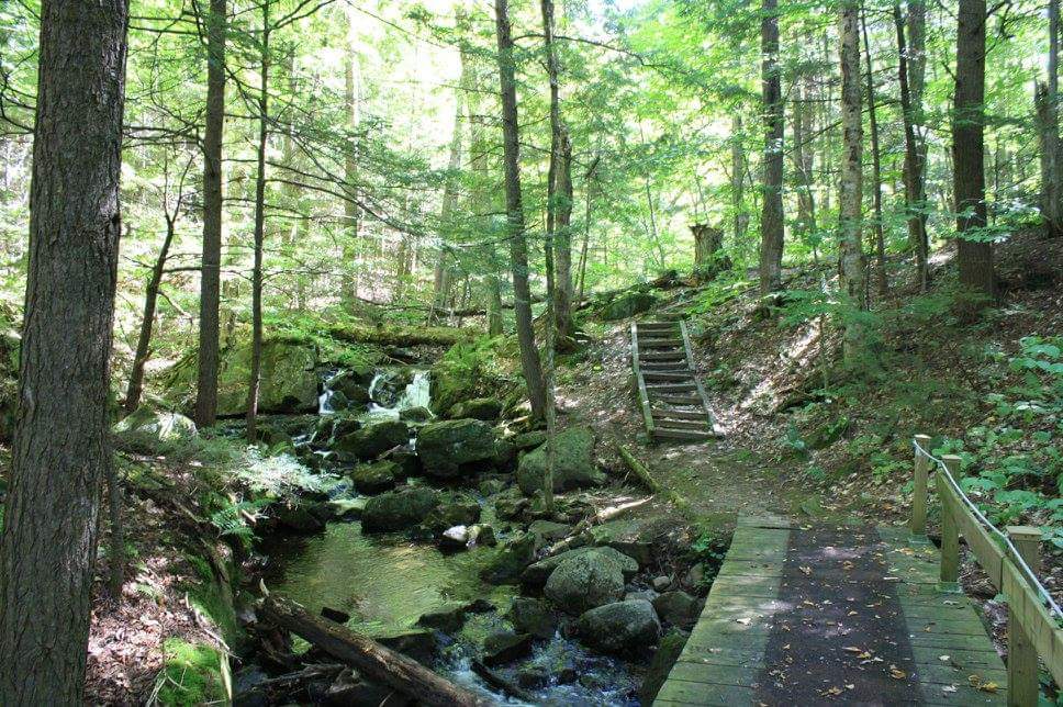 La Forêt Blanche Ecological Reserve | 300 Chemin Saddler, Mayo, QC J8L 4L8, Canada | Phone: (819) 281-6700