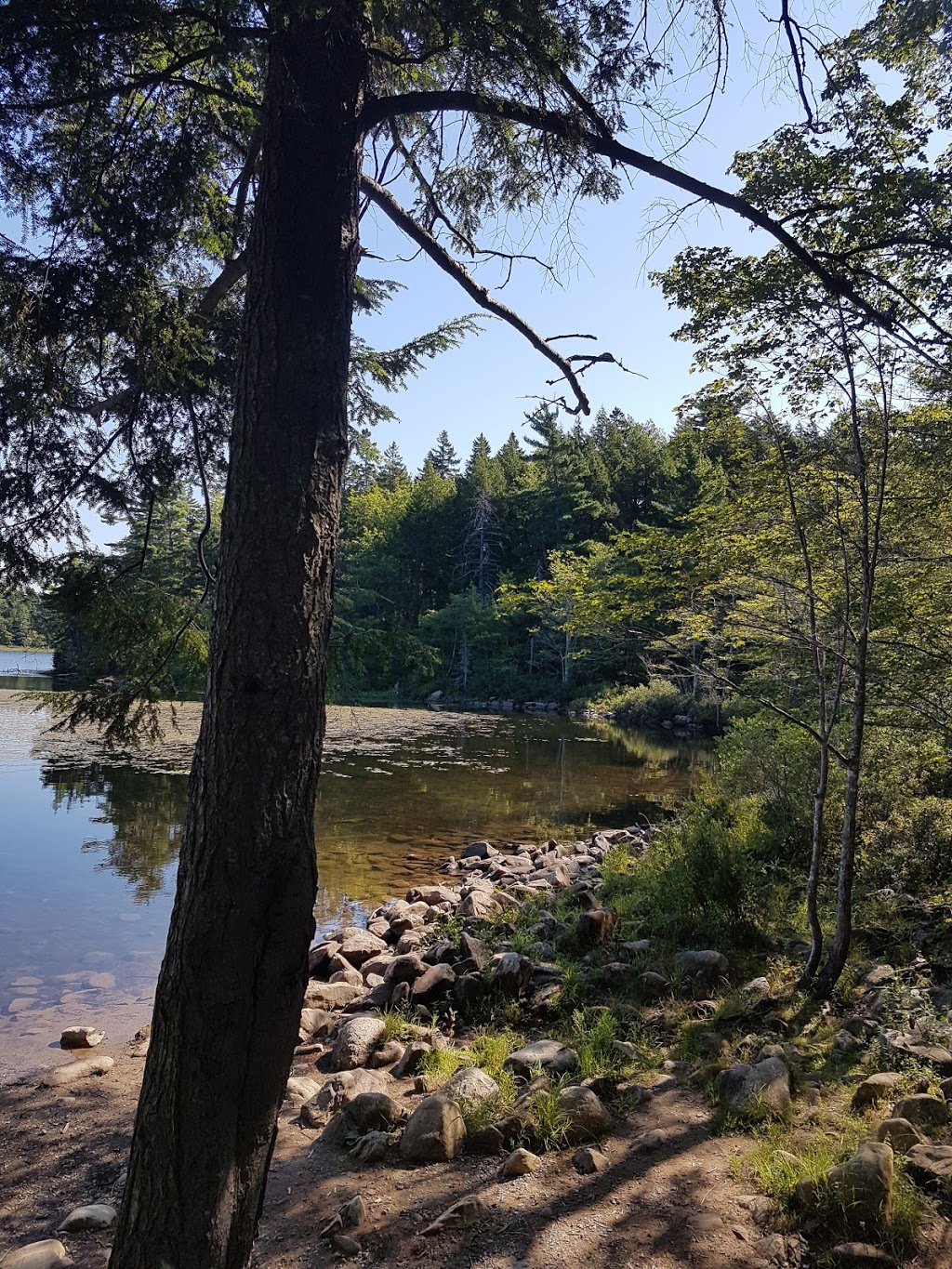 Sackville Lakes Provincial Park | 440 First Lake Dr, Lower Sackville, NS B4C 3L2, Canada | Phone: (888) 773-8888