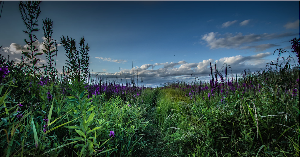 Brunswick Point | Delta, BC, Canada