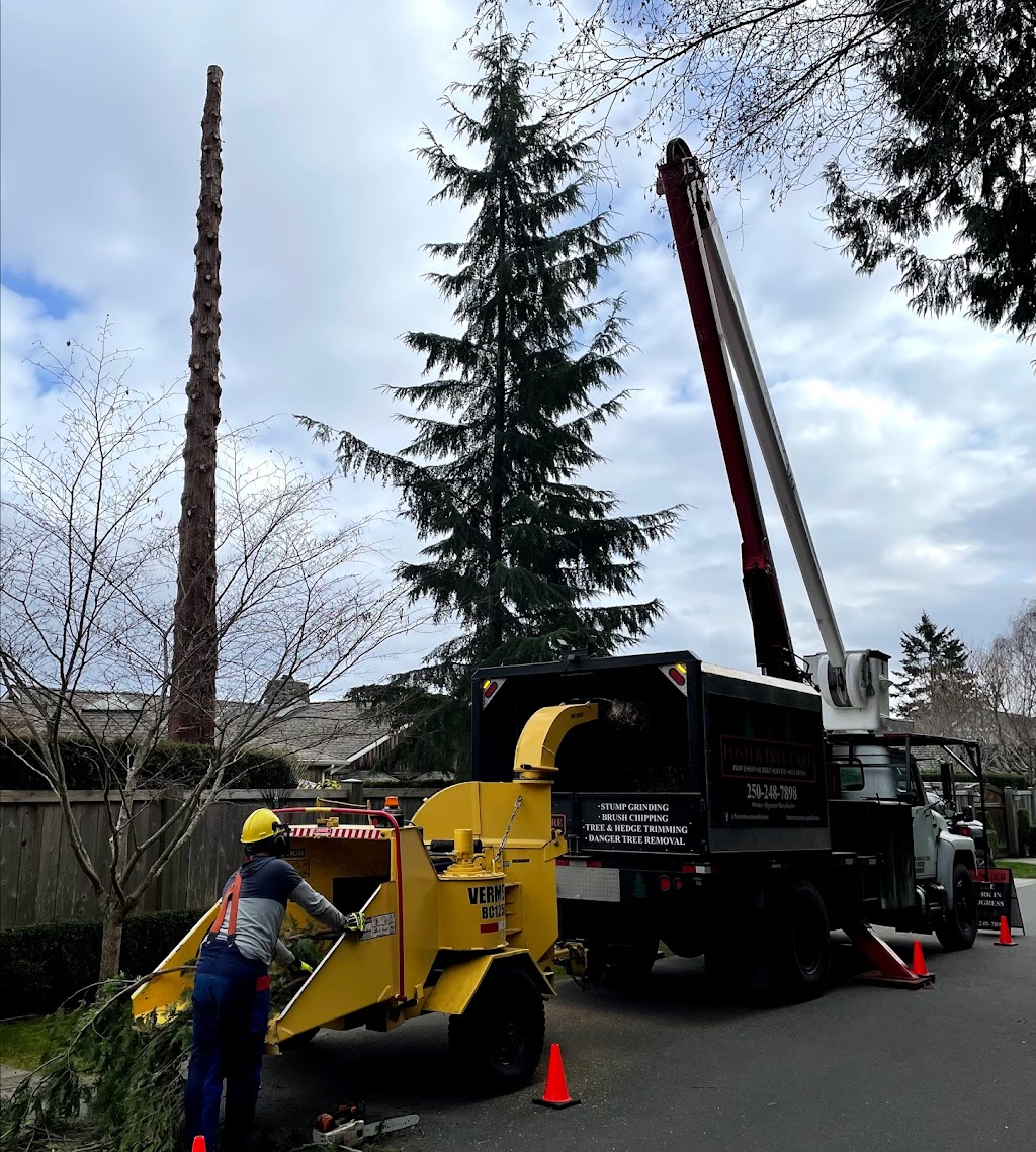 Foster Tree Care | 1038 Station Rd, Coombs, BC V0R 1M0, Canada | Phone: (250) 248-7898