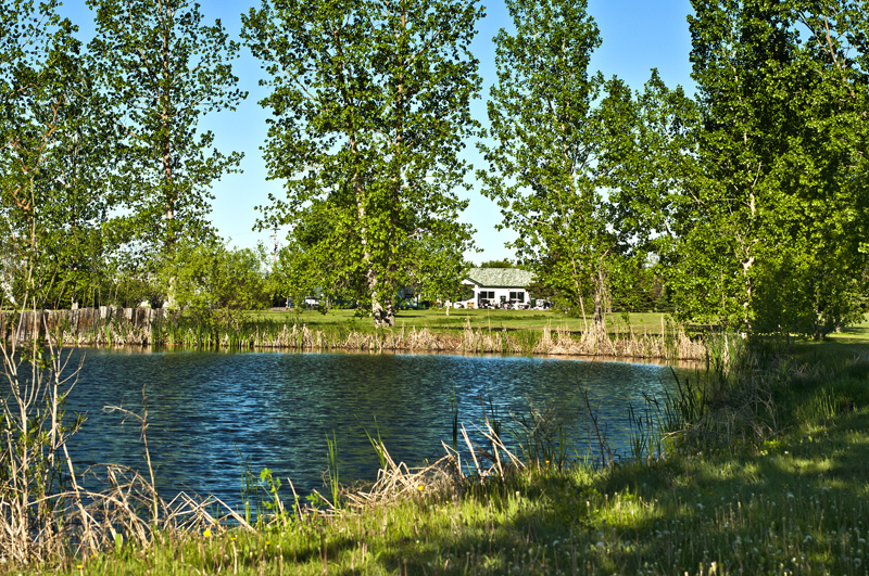 Lynbrook Golf Course | 1525 4 Ave NW #142, Moose Jaw, SK S6H 4N8, Canada | Phone: (306) 692-2838