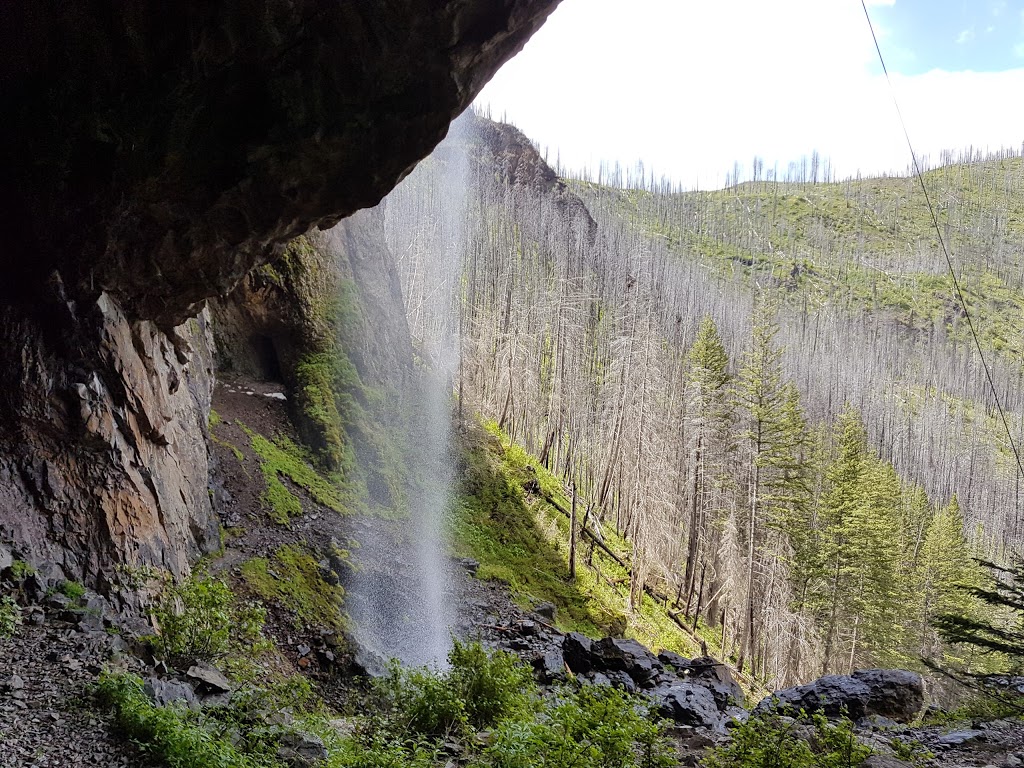 Christie Falls Trailhead | Terrace Mountain Rd, Douglas Lake, BC V0E 1S0, Canada