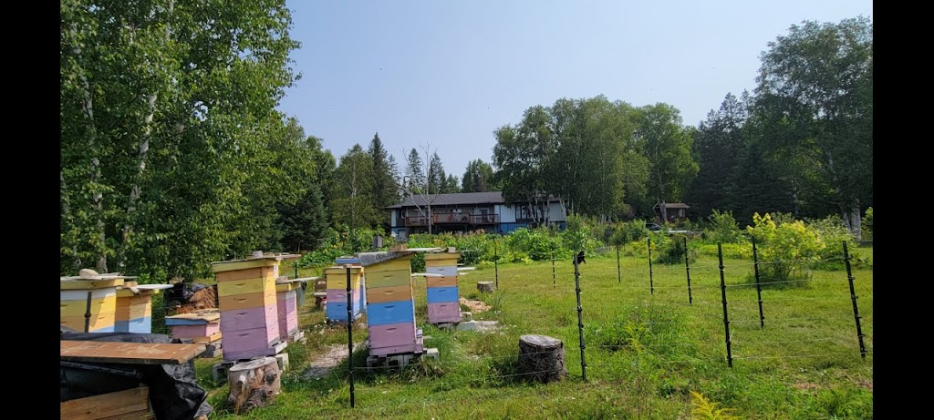 Honey Bee Harmony | Town of, Huntsville, ON P1H 2J4, Canada | Phone: (705) 388-1421