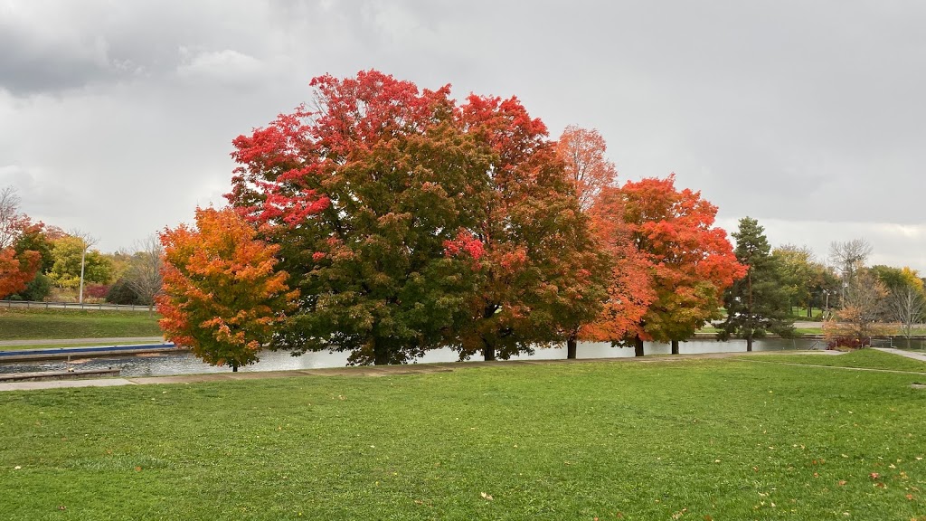 Trent-Severn Waterway, Peterborough Lift Lock Visitor Centre | 353 Hunter St E, Peterborough, ON K9H 7B5, Canada | Phone: (705) 750-4950