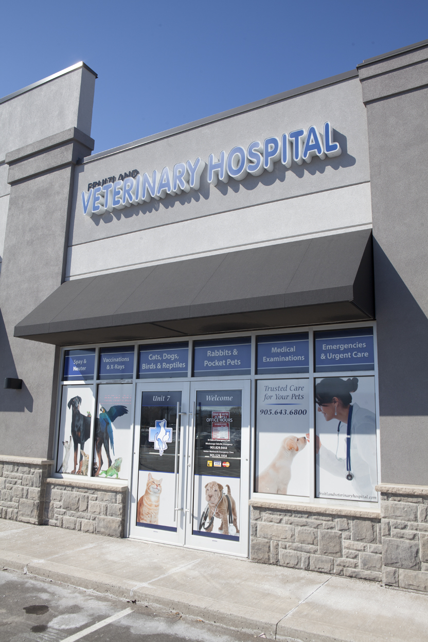 Fruitland Veterinary Hospital | 621 Barton St Unit 7, Stoney Creek, ON L8E 5R8, Canada | Phone: (905) 643-6800