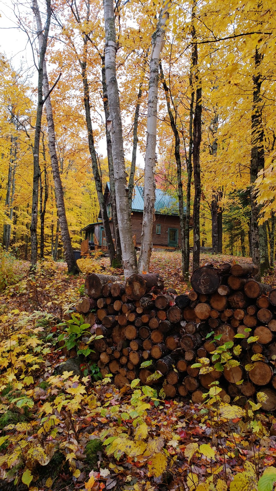 LArtiste - Les Chalets Nerbert | 20 Chemin des Érables, Mandeville, QC J0K 1L0, Canada | Phone: (514) 266-7192