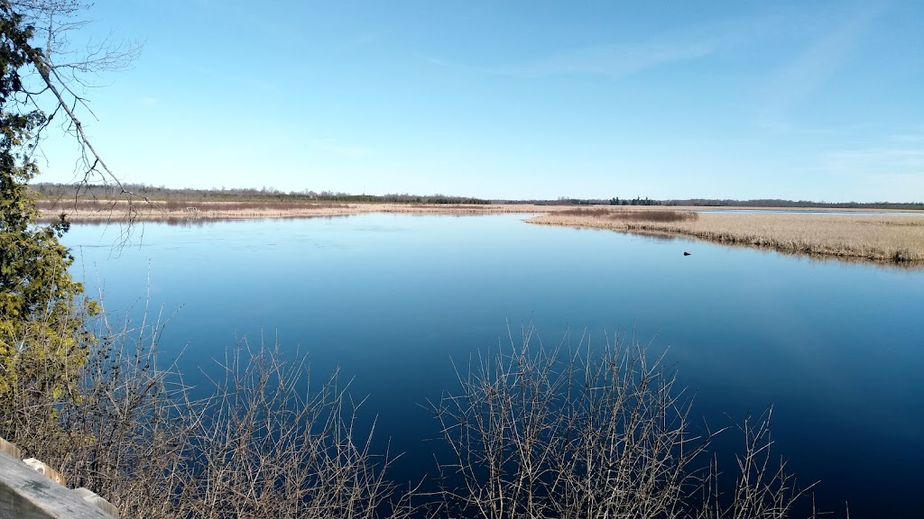 Tay Marsh Lookout Tower | Perth Wildlife Reserve Trails, Perth, ON K7H 3C7, Canada | Phone: (613) 692-3571