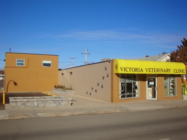 Victoria Veterinary Clinic Inc | 628 Victoria Ave, Regina, SK S4N 0R1, Canada | Phone: (306) 522-8802