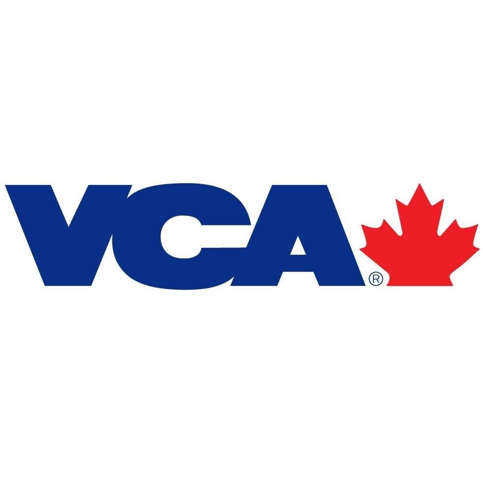 VCA Canada Hollywood Animal Hospital | 277 Wildwood Ave, Victoria, BC V8S 3W2, Canada | Phone: (250) 370-7734