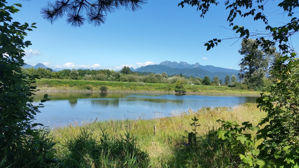 Trail Pavilion | Trans Canada Trail, Pitt Meadows, BC V3Y 2T2, Canada