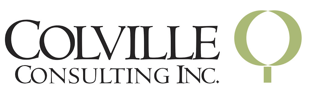 Colville Consulting Inc | 404 Queenston St, St. Catharines, ON L2P 2Y2, Canada | Phone: (905) 935-2161