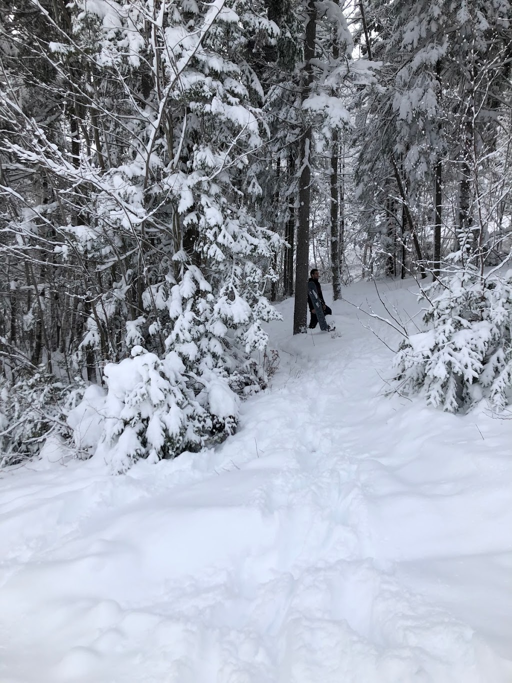 Ski Chantecler | 432 Chem. du Mont Loup Garou, Sainte-Adèle, QC J8B 3C8, Canada | Phone: (450) 229-1404