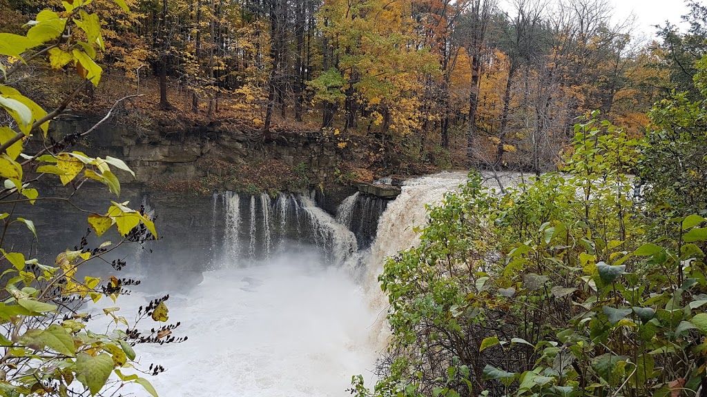 Balls Falls Centre for Conservation | 3292 Sixth Ave, Jordan Station, ON L0R 1S0, Canada | Phone: (905) 562-5235