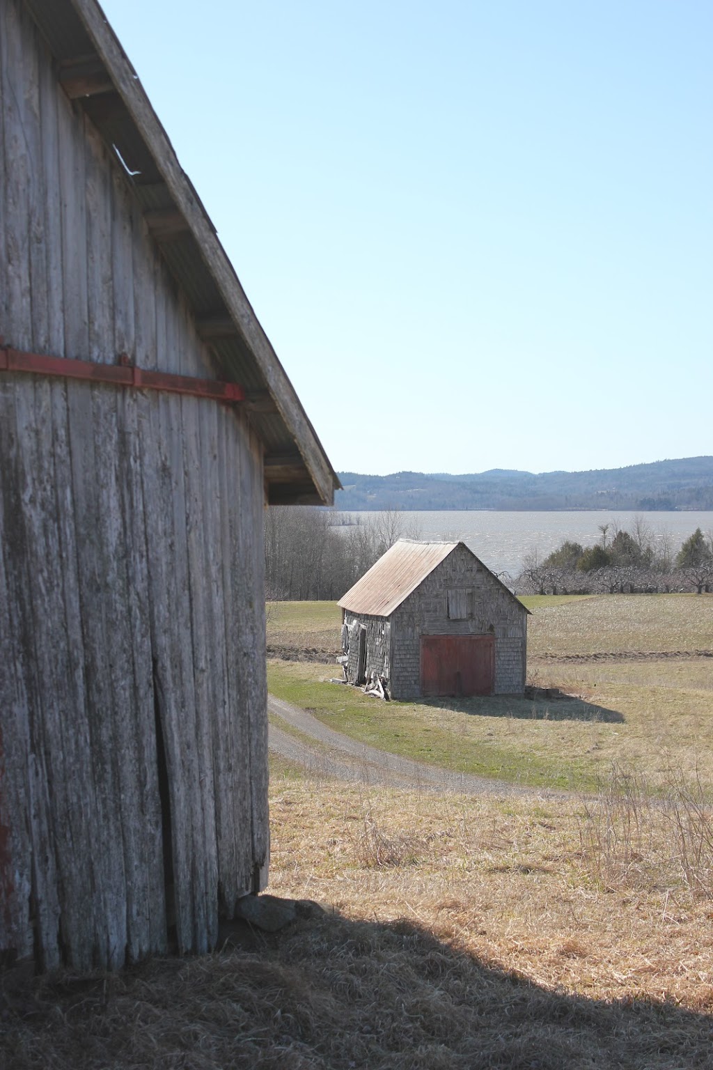 Bostwicks Family Orchard | 36 Bostwick Rd, Kingston, NB E5N 1A3, Canada | Phone: (506) 763-2943