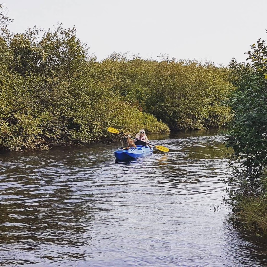 parking missisiquoi nord kayak ou pédestre | QC-245, Bolton-Est, QC J0E 1G0, Canada