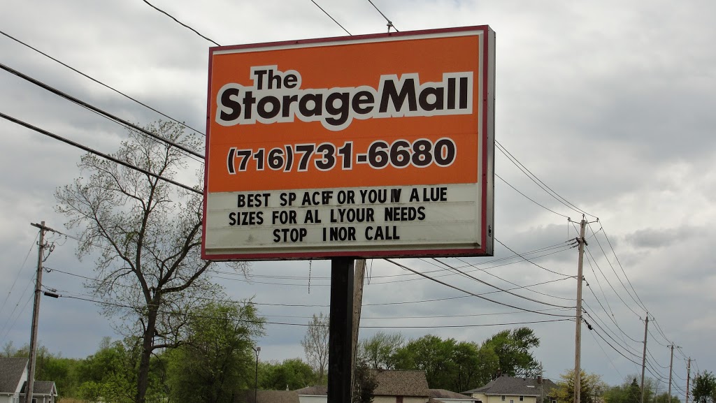 The Storage Mall | 2595 Niagara Falls Blvd, Niagara Falls, NY 14304, USA | Phone: (716) 402-5877