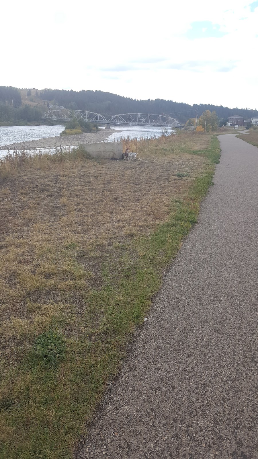 Off-leash Park | Cochrane, AB T4C 2C1, Canada