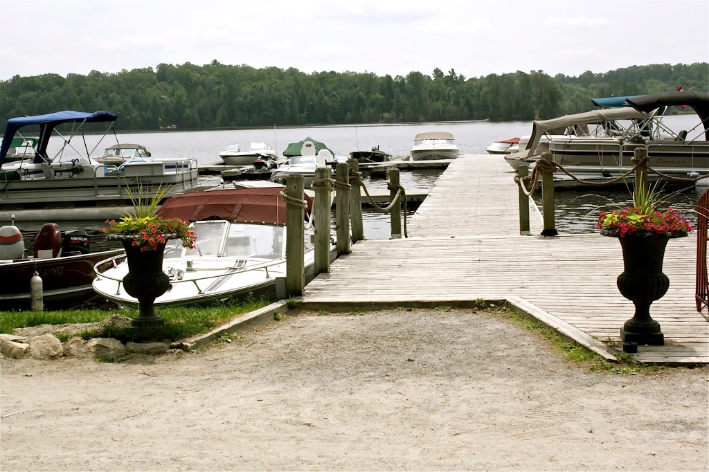 Forest Glen Marina On Jacks Lk | 15 Fire Rte 110, Apsley, ON K0L 1A0, Canada | Phone: (705) 768-3592