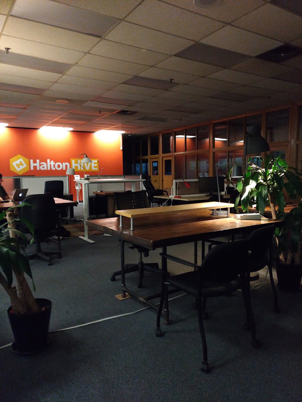 Halton Hive | 1295 N Service Rd, Burlington, ON L7P 3A7, Canada | Phone: (866) 427-2450