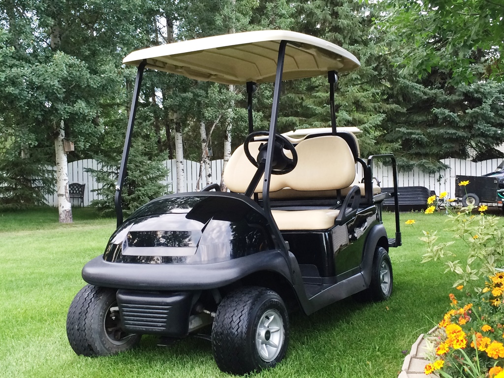 The Golf Cart Guy - Stock and Custom Golf Carts - Sherwood Park | 20575 Wye Rd #47, Sherwood Park, AB T8G 1H1, Canada | Phone: (780) 217-4260