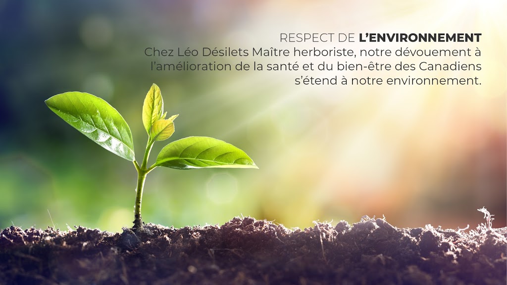 Léo Désilets Maître Herboriste | 35 Chemin Victoria O, Scotstown, QC J0B 3B0, Canada | Phone: (800) 603-4733