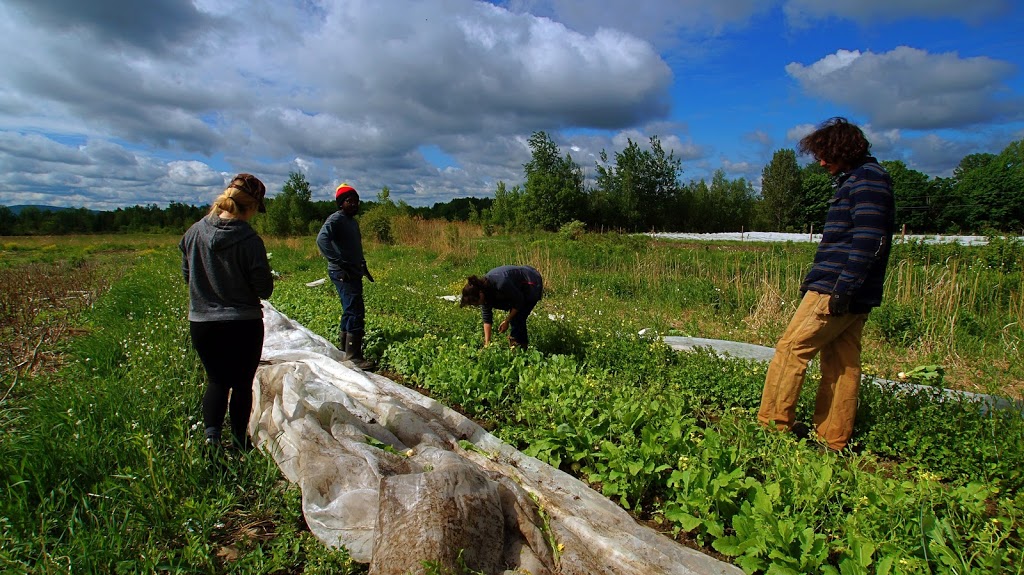 Au Jardin dEdem | 168 Rue Principale, East Farnham, QC J2K 4T8, Canada | Phone: (450) 578-2602