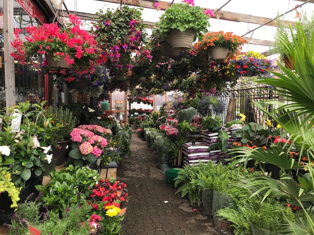 Truspeers Garden & Florist | 36 Scarlett Rd, York, ON M6N 4K1, Canada | Phone: (647) 436-9900