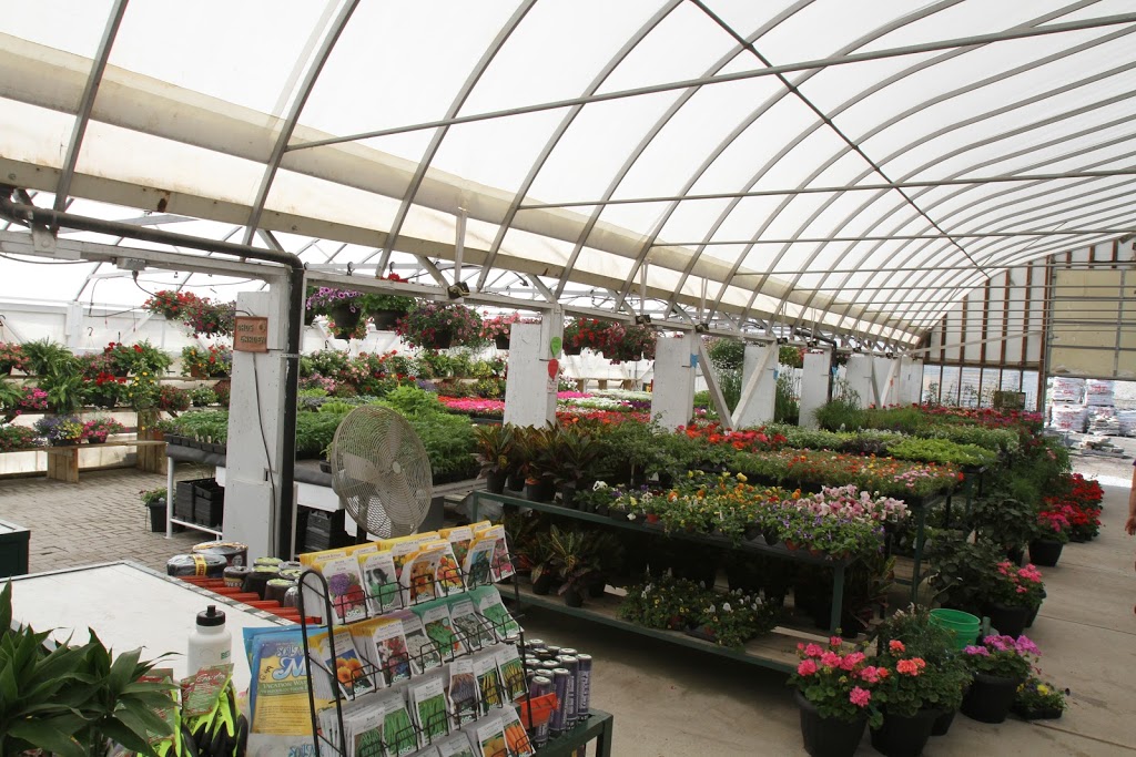 Bellavance Nursery And Landscaping | 1521 Essex County Rd 22, Belle River, ON N0R 1A0, Canada | Phone: (519) 727-5432