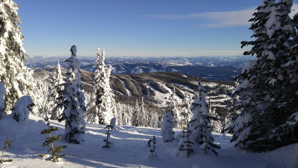 Baldy Mountain Resort | 2680 Mount Baldy Rd, Oliver, BC V0H 1T0, Canada | Phone: (250) 498-4086