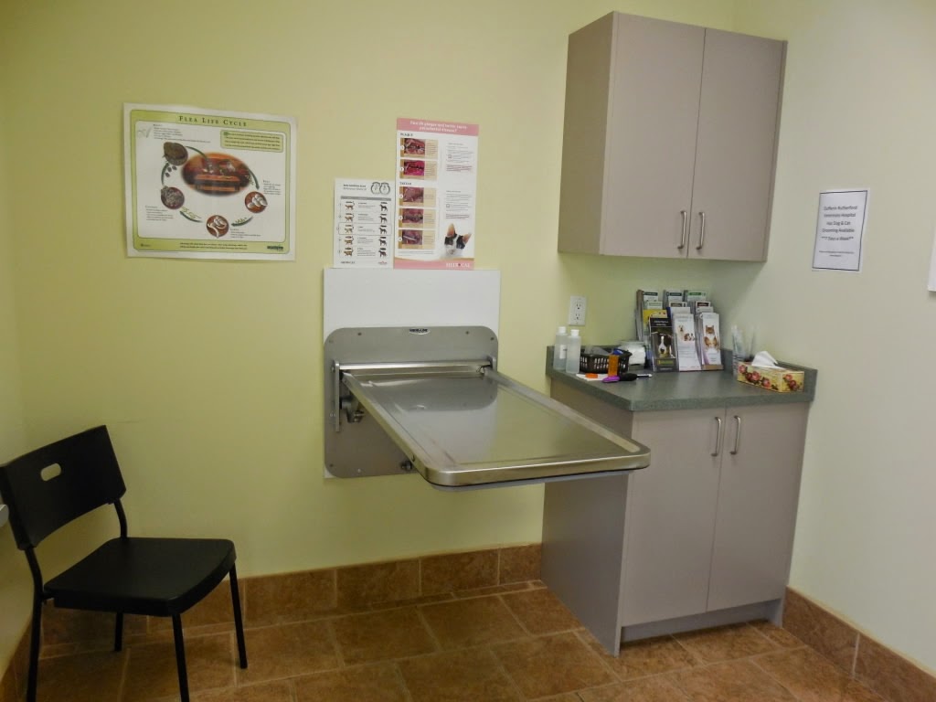 Dufferin Rutherford Veterinary Hospital | 3-1611 Rutherford Rd, Concord, ON L4K 0C6, Canada | Phone: (905) 832-0011