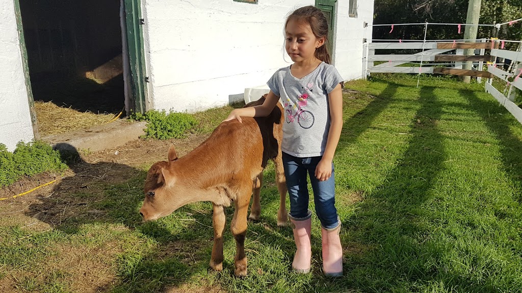 Ferme Beauvais S.E.N.C. | 3271 Rang St André, Saint-Cuthbert, QC J0K 2C0, Canada | Phone: (514) 249-9970