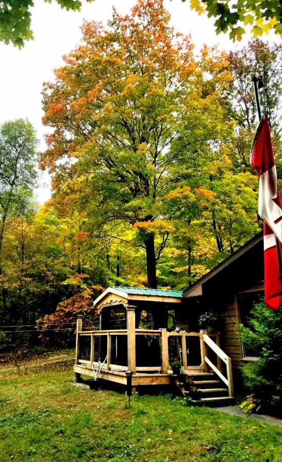 Maple Key Cabin Retreat | 2349 N Baptiste Lake Rd, Hastings Highlands, ON K0K 2S0, Canada | Phone: (905) 717-0172