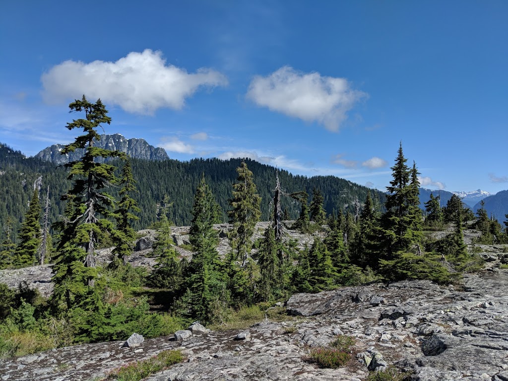 Coliseum Mountain lower East Lookout | Greater Vancouver A, BC V7K 3B2, Canada