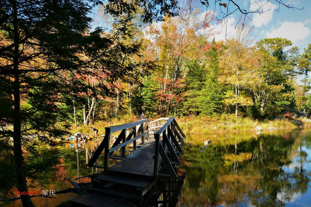 Kakakise Wood Bridge | Killarney, ON P0M, Canada