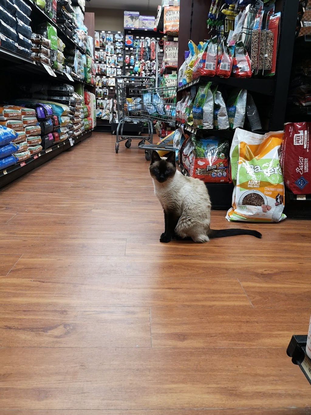 Pet Valu | 486 Lawrence Ave W, North York, ON M5M 1C4, Canada | Phone: (416) 789-2249