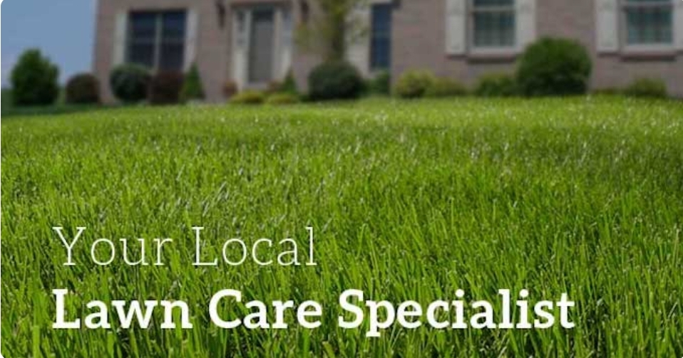 Just A Few Lawns Lawn care | 3 Manitou Crescent E, Amherstview, ON K7N 1A9, Canada | Phone: (343) 333-8809