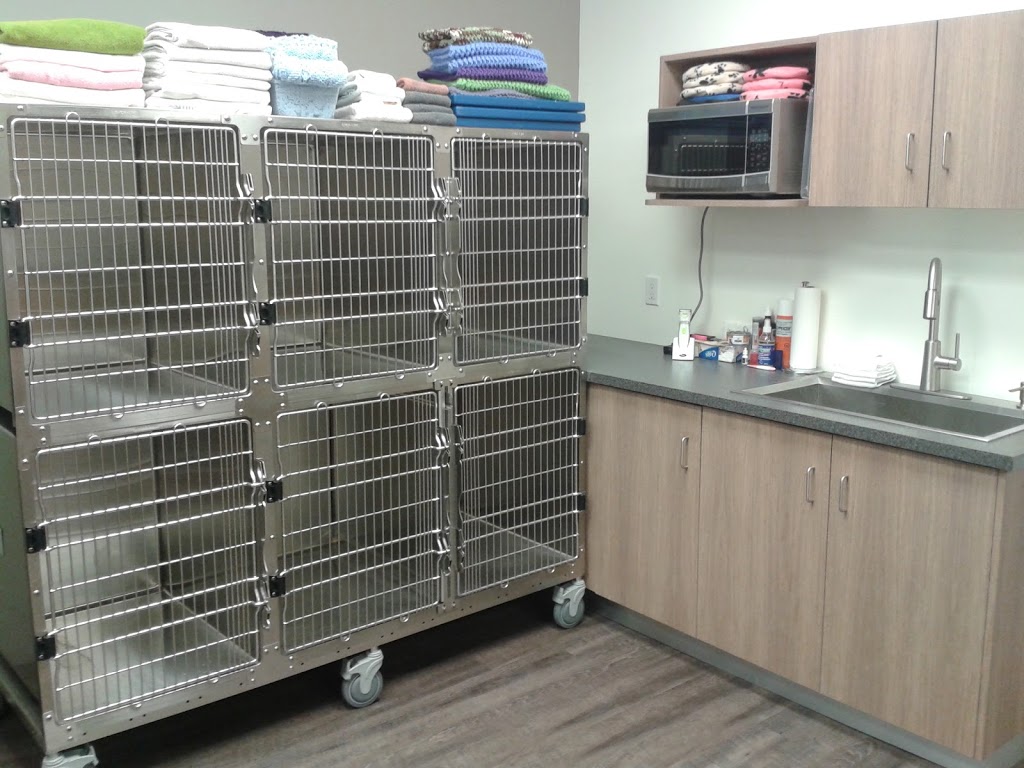 Kipling Animal Hospital | 2141 Kipling Ave #8, Etobicoke, ON M9W 4K8, Canada | Phone: (647) 351-0333