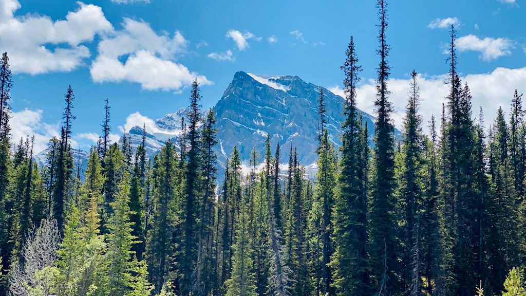 Silverhorn Creek Campground | Banff National Park Of Canada, AB-93, Lake Louise, AB T0L 1E0, Canada | Phone: (780) 932-6868