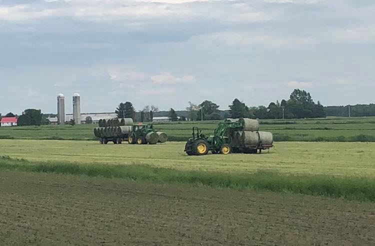 Ferme Maggy (Semoir Maggy) | 4650 Chemin des Bouvreuils, Bécancour, QC G9H 4E3, Canada | Phone: (819) 701-7546