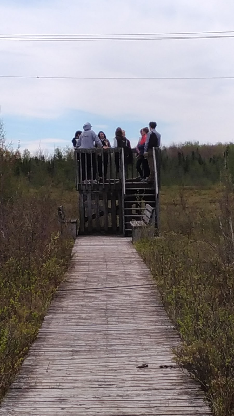 Tourbières-de-Lanoraie Ecological Reserve | Lanoraie, QC J5T 3K6, Canada