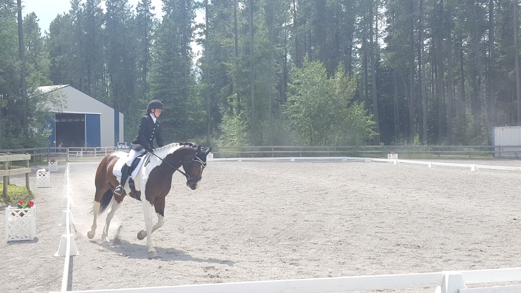 Prentice Creek Equestrian Centre | Clearwater County, AB T0M 0C0, Canada | Phone: (403) 846-8756