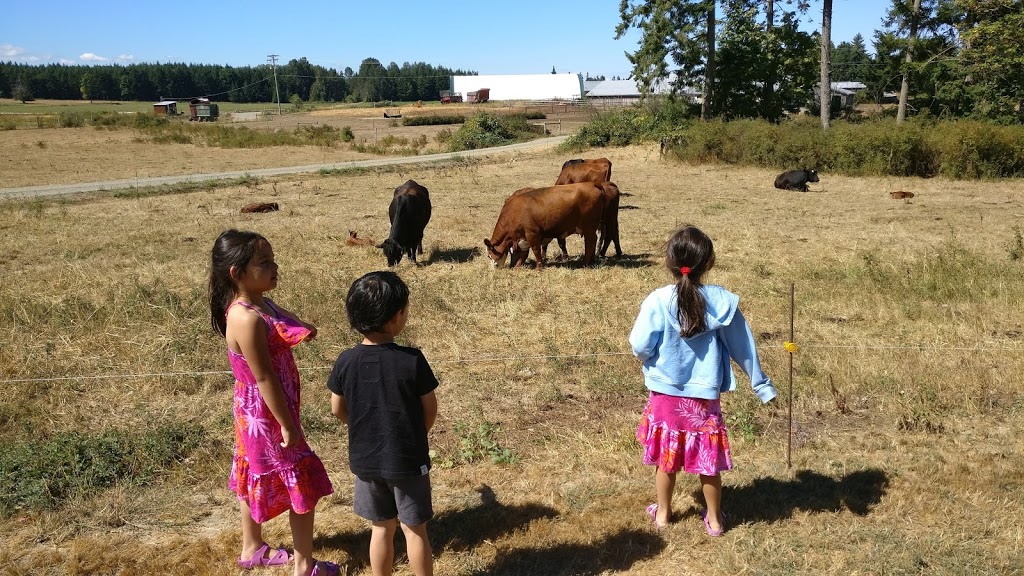 Springford Farm | 1934 NW Bay Rd, Nanoose Bay, BC V9P 9C5, Canada | Phone: (250) 468-7540