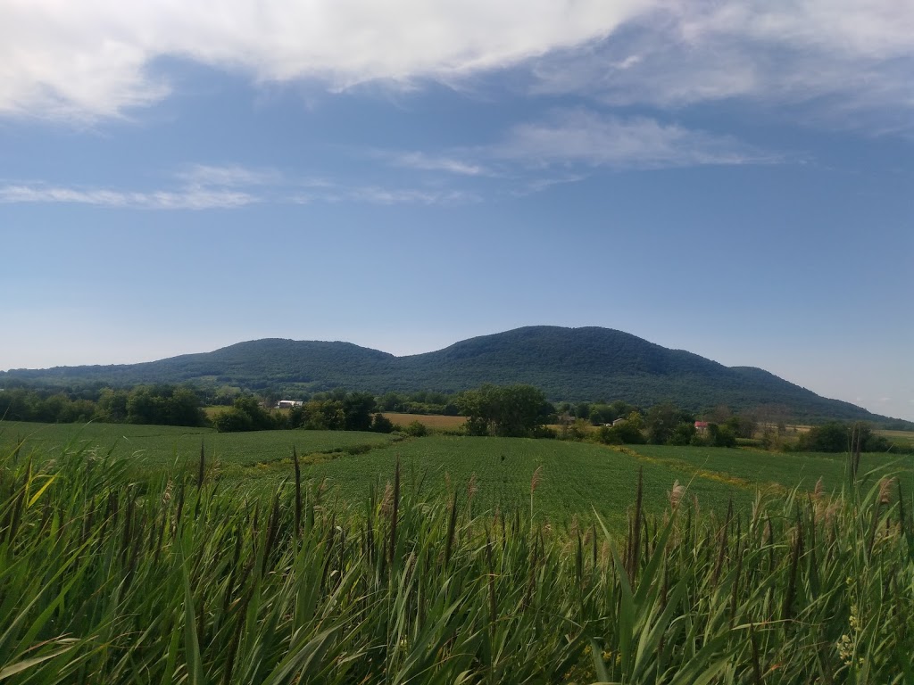 Ferme Paul Benoit | 2325 Rang de la Rivière S, Saint-Jean-Baptiste, QC J0L 2B0, Canada | Phone: (450) 464-0457