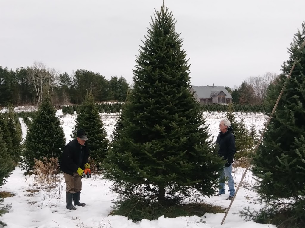 Plantation des Frontières | 295 Chemin des Érables, Saint-Armand, QC J0J 1T0, Canada | Phone: (450) 248-3575