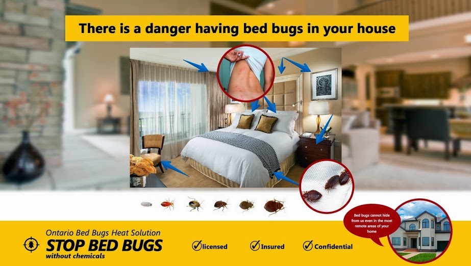 Ontario Bed Bugs Heat Solution and Pest Control | 70 Westcliffe Cres, Richmond Hill, ON L4E 0S2, Canada | Phone: (647) 409-4850