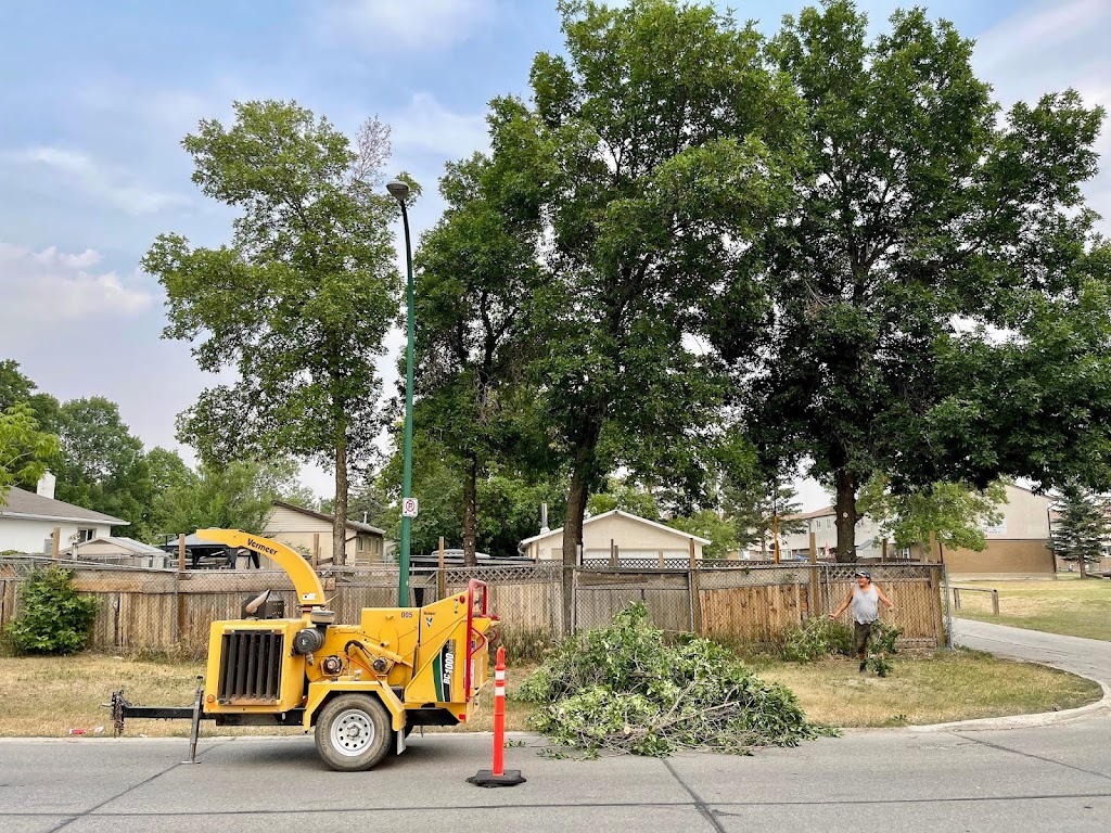 Charleswood Tree Service | 11 sabrina way, Headingley, MB R3S 1C5, Canada | Phone: (204) 781-9429